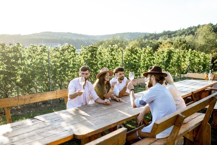 Stancija Collis Winery Adventure — Guided Tasting & Olive Oil Experience near Rovinj