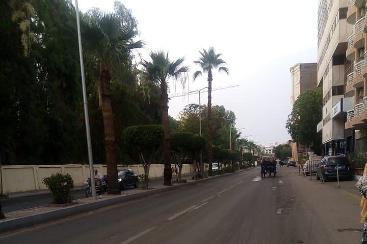 Horse-Drawn Carriage Tour in Aswan: Corniche Ride with Local Egyptologist photo 4