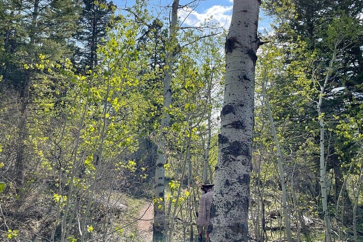 Explore South Pass City: Emigrant Trails, Mining Ruins & Continental Divide Views photo 5
