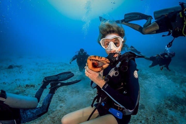 Scuba Diving Maroma Beach: Certified 1- or 2‑Tank Reef Immersion in the Riviera Maya photo 4