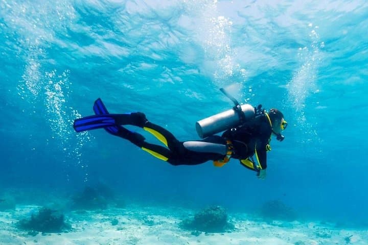 Scuba Diving Maroma Beach: Certified 1- or 2‑Tank Reef Immersion in the Riviera Maya photo 5