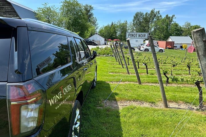 Taste of the Valley: Private Fraser Valley Wine Tour from Vancouver