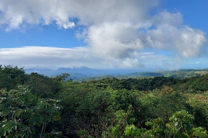 Private SJO to Monteverde Transfer — Reliable Shuttle Between San José and Santa Elena photo 4