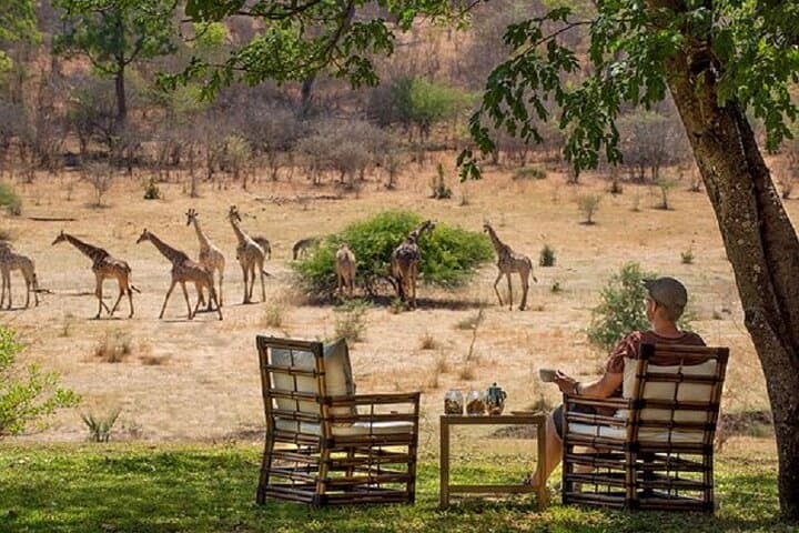 Stanley and Livingstone Game Drive Victoria Falls: Morning & Afternoon Safari photo 3