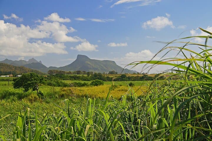 East of Mauritius Full-Day Scenic Tour: Blue Bay Glass-Bottom Trip & Local Lunch photo 5