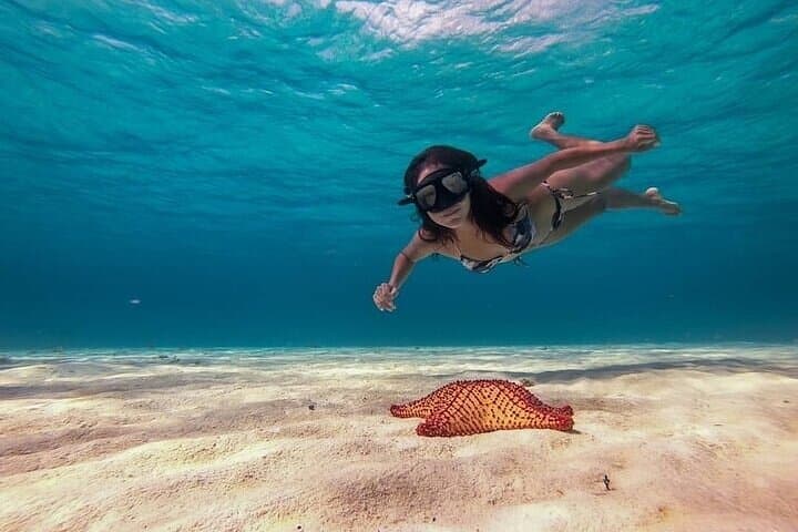 Cozumel Reef Snorkel & El Cielo Glass-Bottom Boat Adventure photo 2