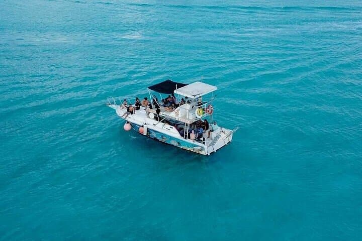 Cozumel Reef Snorkel & El Cielo Glass-Bottom Boat Adventure photo 4