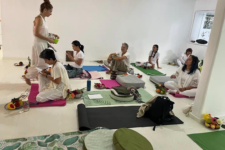 Holistic Wellness Day Pass in Punta Cana: Yoga, Ayurveda & Reiki Retreat photo 2