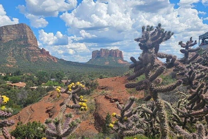 Sedona Magical Sightseeing Highlight Tour: 2.5-Hour Red Rock Van Experience photo 2