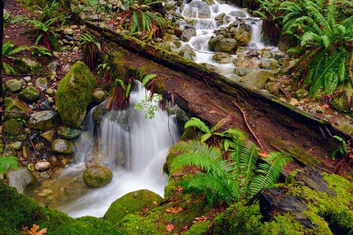 Quarry Rock Photography Hike: Deep Cove Guided Hike & Landscape Lessons photo 2