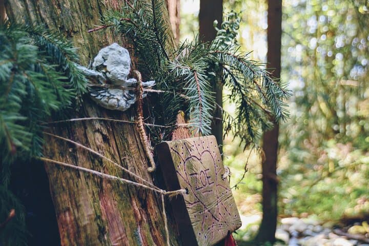 Quarry Rock Photography Hike: Deep Cove Guided Hike & Landscape Lessons photo 4