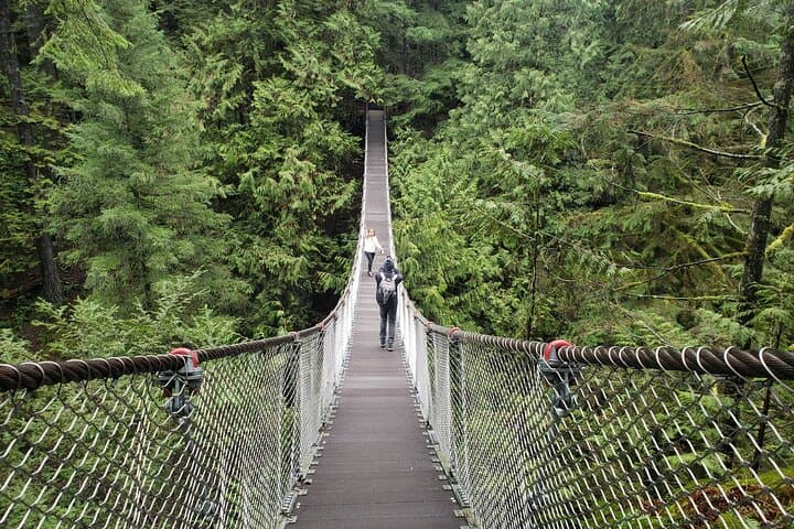 Lynn Canyon Photography Tour: Rainforest, Suspension Bridge & Waterfalls