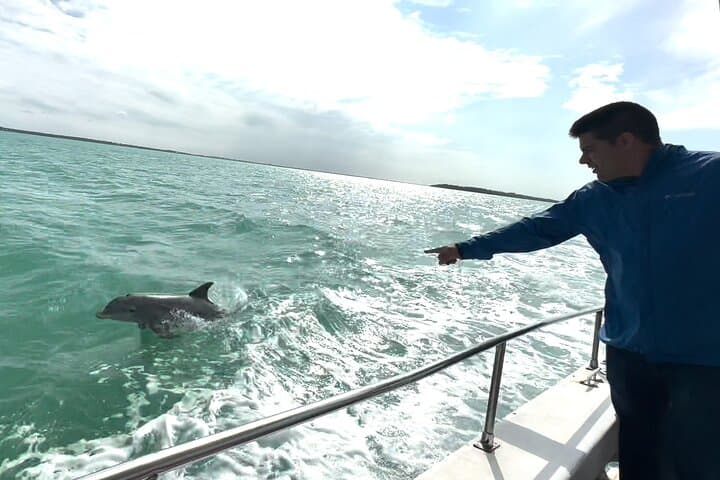 Glass-Floor Party Yacht in Miami: Sandbars, Skyline, and Snorkeling photo 6