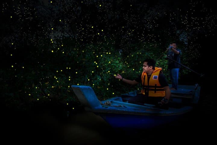 Kuala Selangor Fireflies Tour with Riverside Seafood Dinner — Night Boat Trip from Kuala Lumpur photo 4