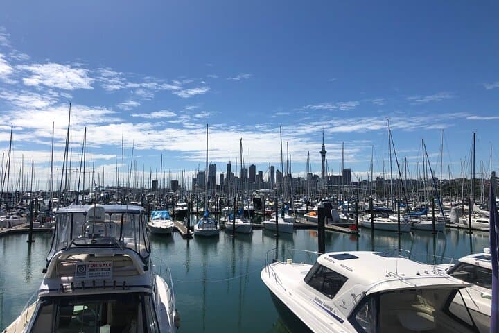 Private Auckland Half-Day Tour: Sky Tower, Devonport & Tamaki Drive
