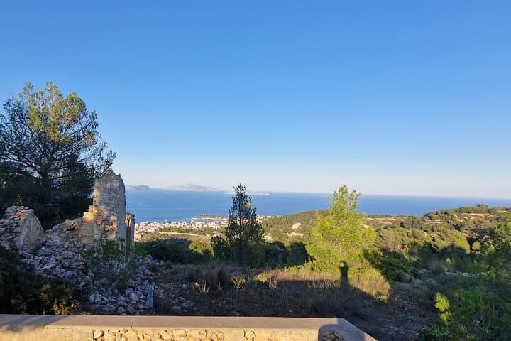 Spetses 4x4 Safari: 2-Hour Off-Road Tour Through Forest, Beaches & Views photo 5