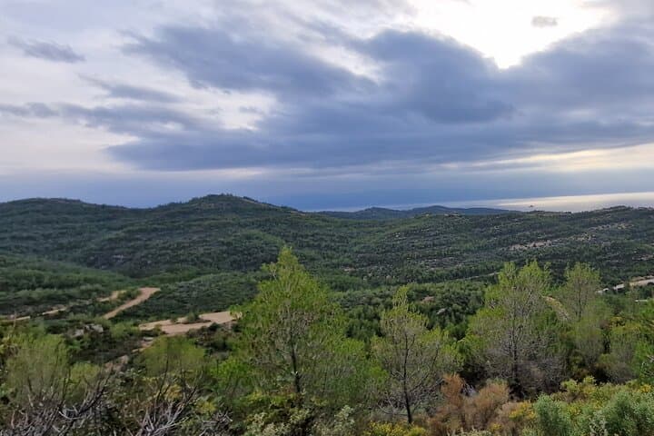 Spetses 4x4 Safari: 2-Hour Off-Road Tour Through Forest, Beaches & Views photo 6
