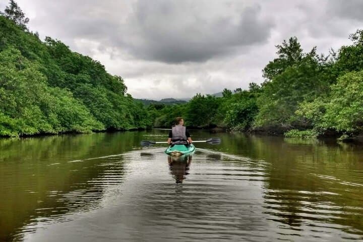 Paddle Paraty’s Last Mangrove: Kayak from Pontal Beach to Perequê Açu
