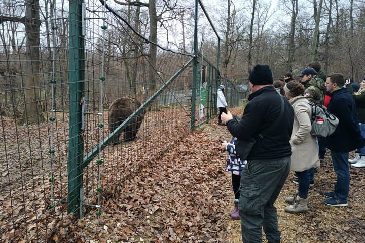Bran Castle and Libearty Bear Sanctuary Day Trip from Brasov photo 3