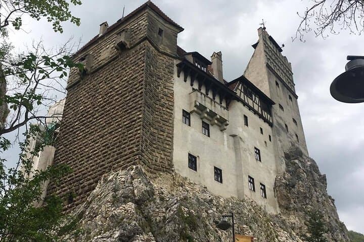 Bran Castle and Libearty Bear Sanctuary Day Trip from Brasov photo 4