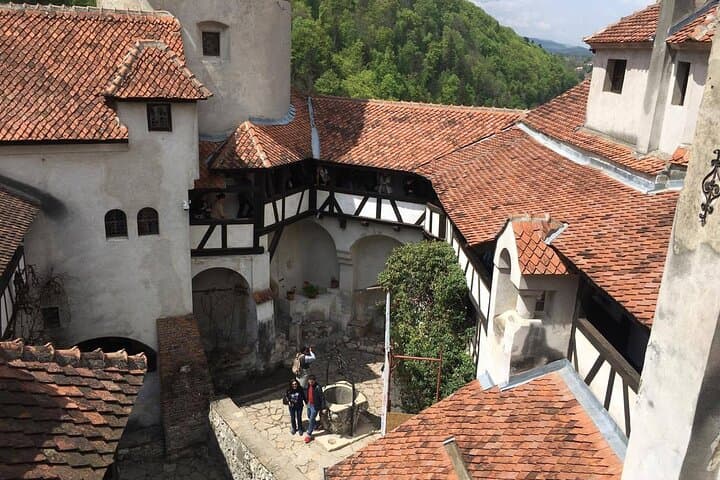 Bran Castle and Libearty Bear Sanctuary Day Trip from Brasov photo 6