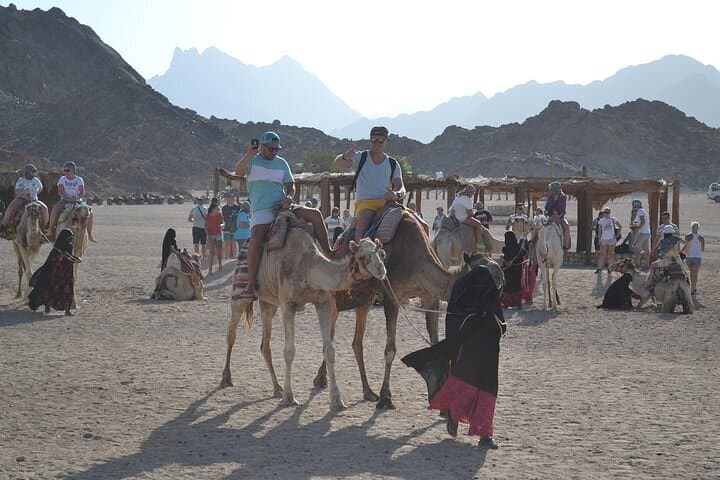 Sharm El Sheikh Desert Safari: Quad Biking, Camel Ride & Bedouin Dinner photo 3