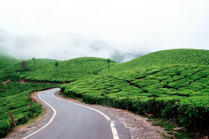 Munnar Day Trip from Kochi — Top Station, Tea Museum & Mattupetty Dam