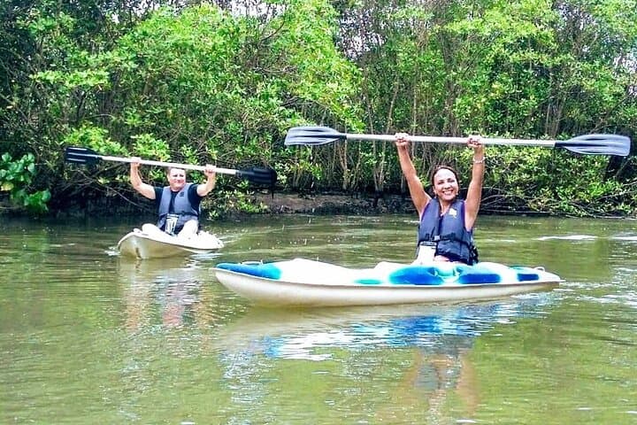 Sunset Kayak in Paraty: Mangroves, Islands & Bay Sunsets photo 4