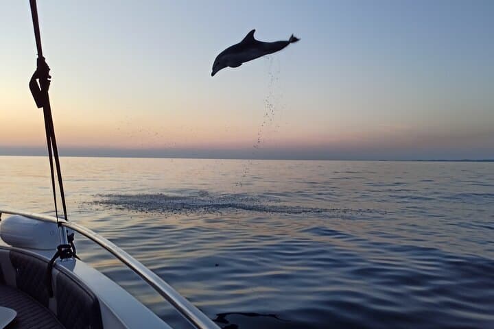 Sunset Dolphin Cruise in Rovinj: Intimate Speedboat Tour with Drinks photo 6