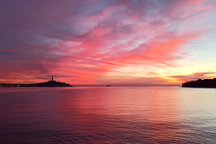 Rovinj Private Sunset Dolphin Watching Speedboat Tour with Drinks photo 3