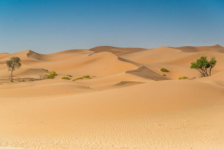 Morning Desert Safari in Abu Dhabi — Dune Bashing, Sandboarding & Camel Rides photo 1