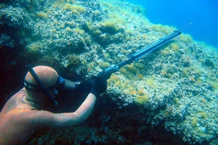 Private Spearfishing Trip from Athens — Freediving the Saronic Sea photo 5