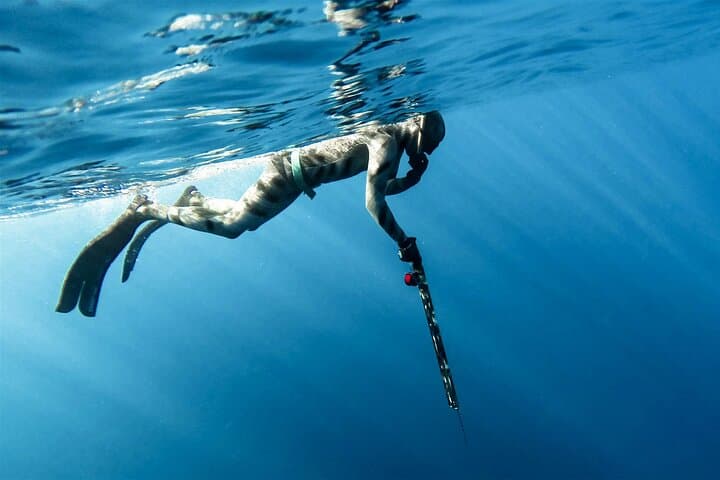 Private Spearfishing Trip from Athens — Freediving the Saronic Sea photo 3