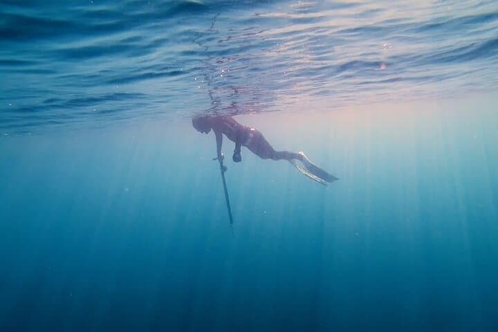 Private Spearfishing Trip from Athens — Freediving the Saronic Sea photo 6
