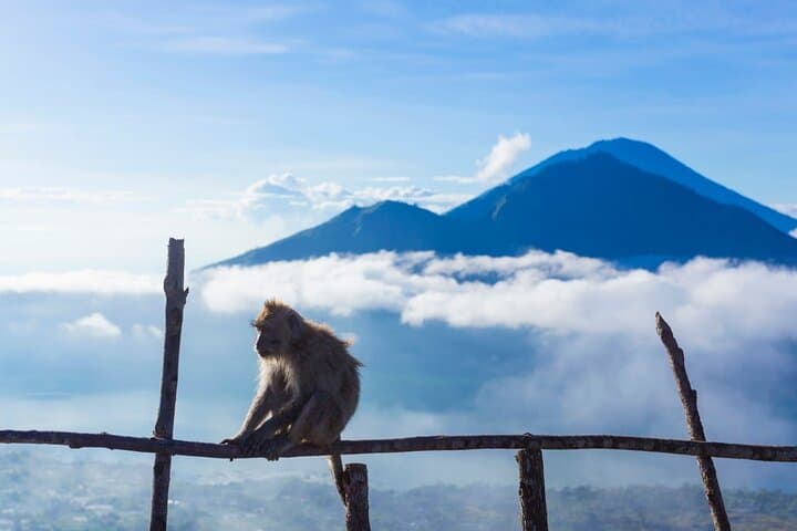 Private Mount Batur Sunrise Trek: Guided Summit Hike with Volcanic Breakfast photo 6