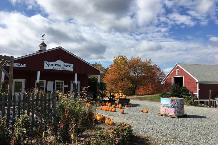 Explore Westborough: Private Walking Tour of Massachusetts' 100th Town photo 3