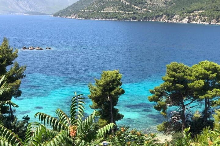 Dubrovnik to Pelješac Private Wine Tasting Tour — Oysters, Vineyards & Trstenik Bay photo 4