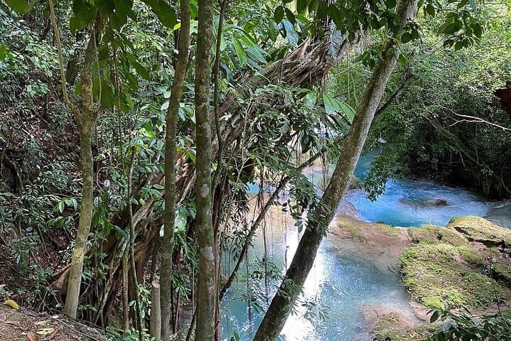 Blue Hole & Secret Falls Private Tour — Ocho Rios Swimming Hole and Jungle Waterfall photo 4