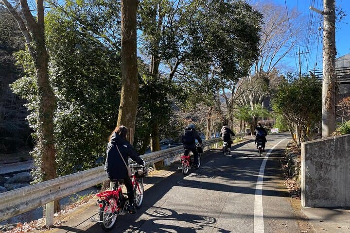 Okutama Backcountry E‑Bike & River Trek: Day Tour from Tokyo photo 5