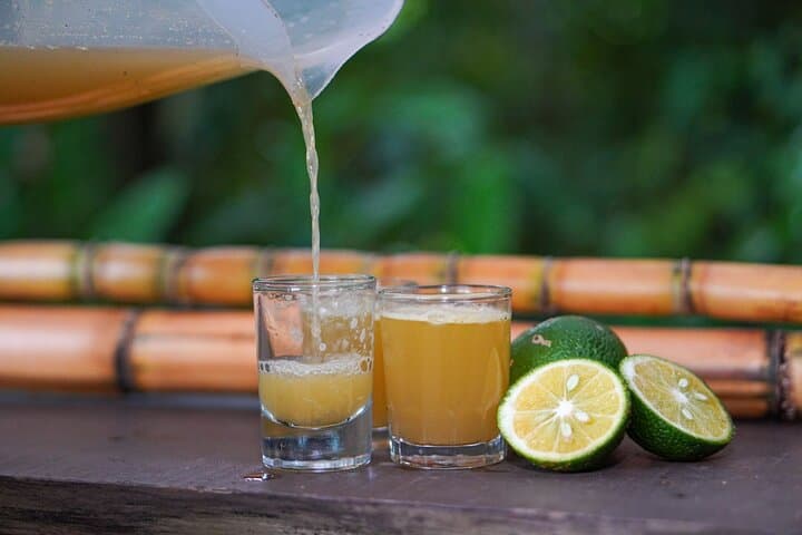 Forest Coffee, Sugar‑Cane & Cacao Experience in Monteverde photo 4