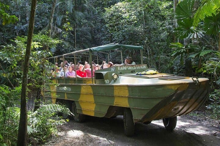 Two-Day Kuranda Rainforestation & Green Island Reef Combo — Rainforest to Reef in Cairns photo 4