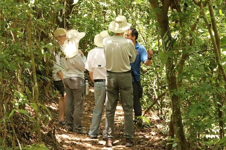 Forest Coffee, Sugar‑Cane & Cacao Experience in Monteverde photo 2
