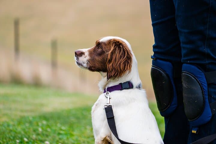 Truffle Hunt and Tasting in Oberon: Farm Forage & Culinary Experience photo 6