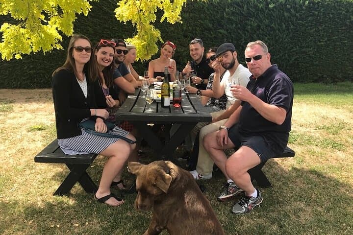 Sun‑Soaked Half‑Day Wine Tour — Napier & Hawke's Bay Highlights