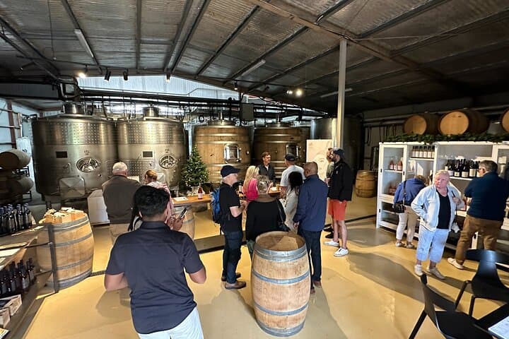 Sun‑Soaked Half‑Day Wine Tour — Napier & Hawke's Bay Highlights photo 6