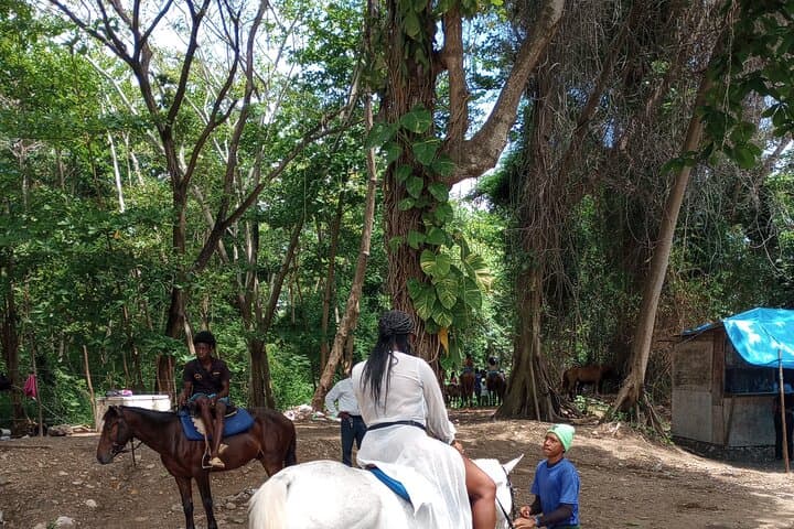 Dunn's River Falls & Blue Hole Combo: Horseback Ride, Climb and Swim in Ocho Rios photo 4