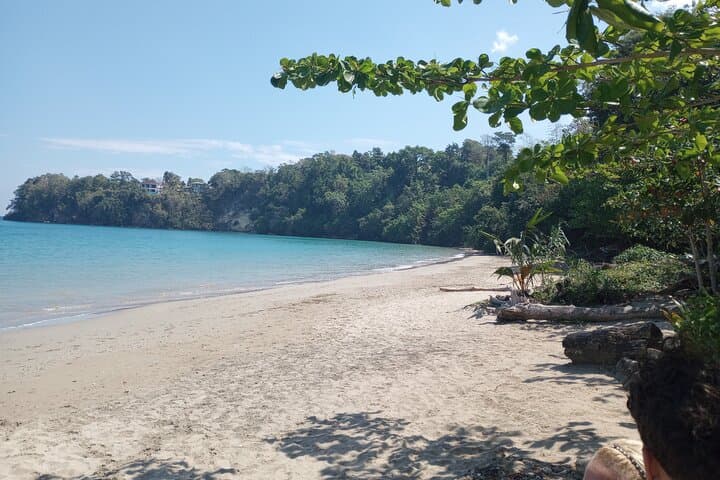 Dunn's River Falls & Blue Hole Combo: Horseback Ride, Climb and Swim in Ocho Rios photo 5