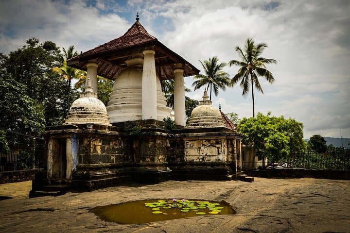 Kandy Day Tour: Two Temples, Kandy City and Peradeniya Botanical Garden photo 5
