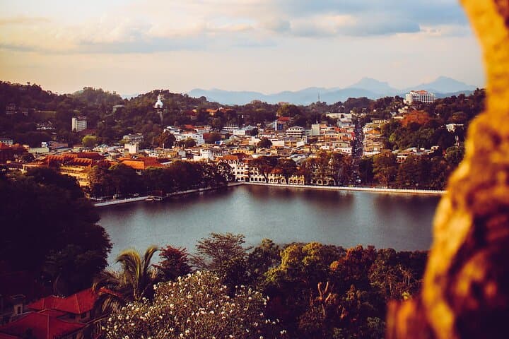 Colombo to Kandy Day Tour — Royal Botanical Garden, Temple of the Tooth & Tea Country