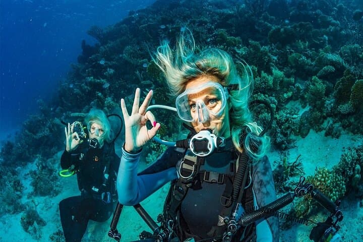 Antalya Scuba Diving Tour: Two Dives, Lunch & Roundtrip Transfer photo 2